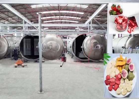 Asciugatrice industriale avanzata con PLC e sistema di controllo remoto