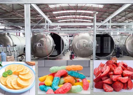 Farmaceutico 1000Kg aspiraproscivatrice a congelamento Tecnologia avanzata di asciugatura