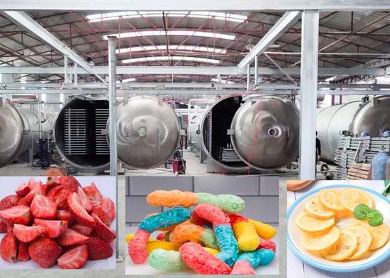 Macchine industriali potenti per l'asciugatrice a congelamento con modalità di funzionamento automatica