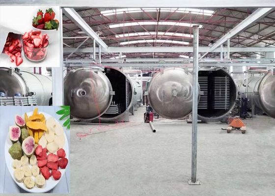 1000Kg Potente aspirapolvere per asciugatura a congelamento per uso industriale