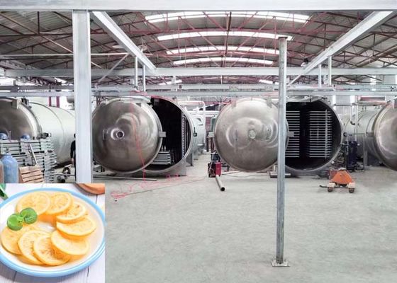 Grandi essiccatori industriali per congelamento 1000 kg/ lotto Capacità