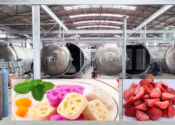 L'asciugatrice a congelamento di 1000 kg per risultati di asciugatura veloci e precisi da 20 a 24 ore