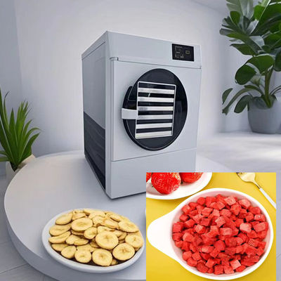 6 kg 10 kg asciugatrice per congelamento a domicilio Ciclo di asciugatura 20-24 ore
