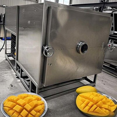 FreezeDryTech Pro Mango Liofilizzatore per la conservazione degli alimenti per frutta e verdura