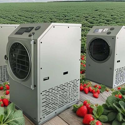 Asciugatrice a congelamento Liofilizzatrice 6kg 10kg 20kg Conservazione alimentare a domicilio