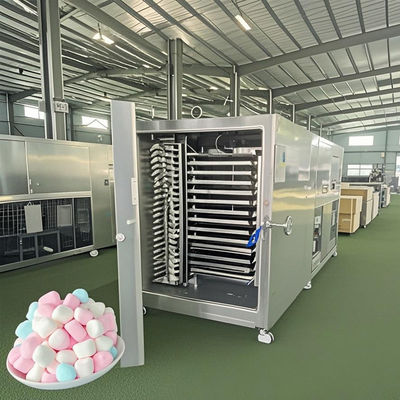 Asciugatrice industriale a vuoto 300 kg attrezzature per l'elaborazione di grandi lotti per erbe aromatiche