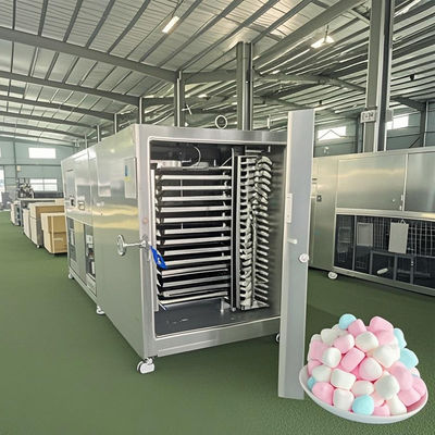 Liofilizzatore a scala commerciale 50 kg Sistema di liofilizzazione industriale per prodotti lattiero-caseari