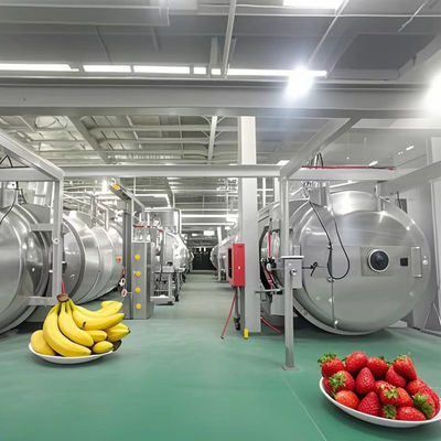 Liofilizzatore pesante 500 kg Liofrizzatore industriale per frutta / verdura / caffè / frutti di mare
