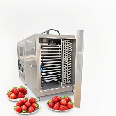 100 kg GMP Freeze Dryer Machine Liofilizzazione farmaceutica per alimenti