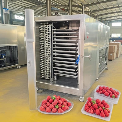 200 kg di confezione di essiccatore automatico per la deidratazione delle carni e dei frutti