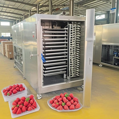 50 kg di acciaio inossidabile industriale Freeze Dryer Machine CE certificato per l'uso in laboratorio fabbrica