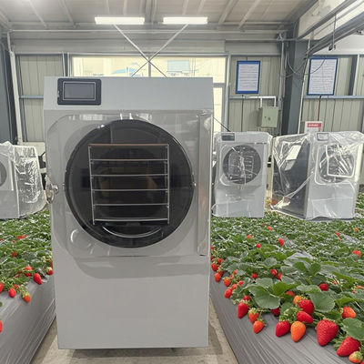 20 kg piccole macchine per la deidratazione del caffè e delle erbe aromatiche