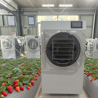 Liofilizzatore pilota da 6 kg R&S per produzione in piccoli lotti con PLC touchscreen