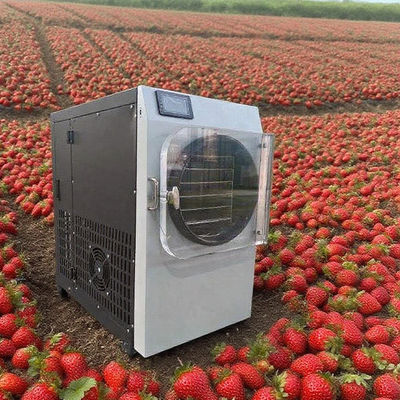 Liofilizzatore commerciale con pompa in acciaio inossidabile 304 e Bosch - Liofilizzatore ad alta efficienza