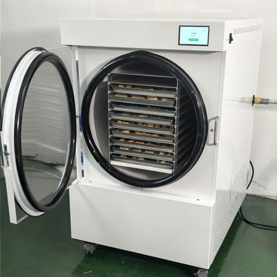 220V/1PH/50-60HZ Home Freeze Dryer with LCD Display The Perfect Addition to Your Kitchen