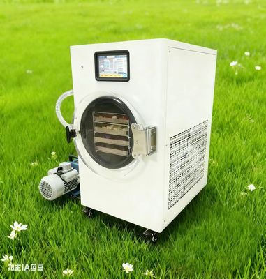 Creare forniture alimentari di emergenza Casa Freeze asciugatrice per lo stoccaggio Preparazione alle emergenze Stoccaggio alimentare