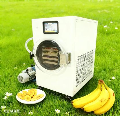 Facile asciugatrice per congelazione domestica Conserva il raccolto del tuo giardino Facile da usare, perfetto per i giardinieri