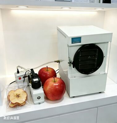 Raccogliete direttamente a casa, conservate la ricchezza del giardino, i pasti, gli snack, mantenete il 97% della nutrizione, design compatto, facile da usare, per una vita sana.