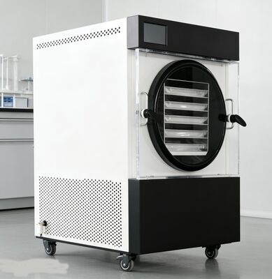 Perché accontentarsi di quello acquistato in negozio? Il nostro freeze-dryer domestico ci permette di conservare ricette di famiglia, abbondanza stagionale e carni alla rinfusa a una frazione del costo.