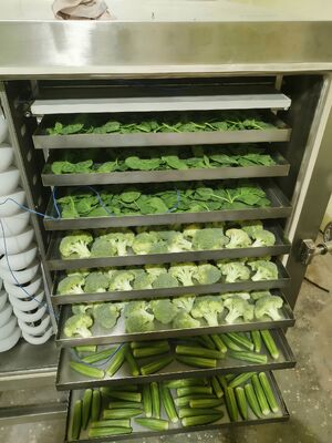 Essiccatore industriale a liofilizzazione con riscaldamento elettrico, con dimensioni della camera di 12700x2600x3300mm e tempo di essiccazione da 20 a 24 ore, ideale per uso industriale