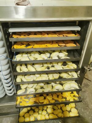 Unità di refrigerazione  Liofilizzatore Potenza nominale 200KW Apparecchiatura per liofilizzazione per l'industria farmaceutica, alimentare e chimica