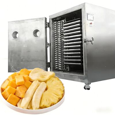 Liofilizzatore Commerciale di Grande Capacità da 100Kg 200Kg