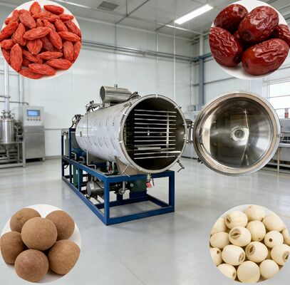 Sistema di controllo PLC Macchina di liofiliazione a vuoto che offre camera Dimensione 12700 2600 3300mm perfetta per l'industria farmaceutica alimentare e chimica