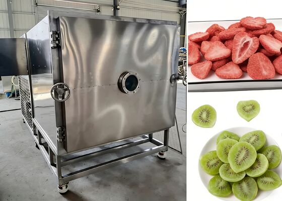 Grado di vuoto ≤ 10 Pa asciugatrice a congelamento a vuoto alimentare con pompa a vuoto Baosi o  che fornisce asciugatura a congelamento per l'industria alimentare