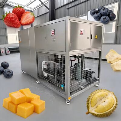 Essiccatore sottovuoto per refrigerazione  o Leybold, apparecchiatura raffreddata ad aria per liofilizzazione e conservazione di alimenti