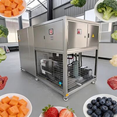 3800 1550 1850mm Food Vacuum Freeze Dryer Sistema di controllo PLC 2600Kg Capacità Perfetta per l'essiccazione a ghiaccio su larga scala