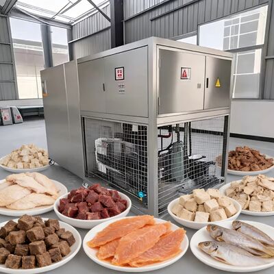 Asciugatrice a vuoto per congelazione alimentare con gamma di temperature di asciugatura a vuoto da meno 40 a 80 gradi e pompa a vuoto Baosi o  per il funzionamento