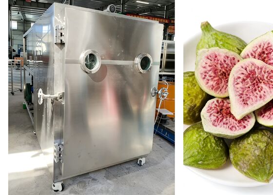 Liofilizzatore sottovuoto per alimenti 380V 50HZ 3PH con acciaio inossidabile per uso alimentare 304 progettato per mantenere la freschezza degli alimenti