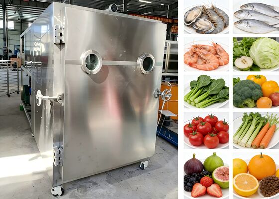Asciugatrice a vuoto e congelatrice alimentare da 200 kg con sistema di refrigerazione e tensione personalizzato ideale per la lavorazione alimentare