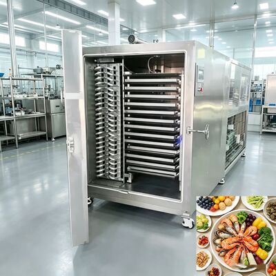 Essiccatore a Congelamento Sottovuoto da 35KW Raffreddato ad Aria con Pompa Sottovuoto Baosi o  Ideale per l'Industria di Lavorazione Alimentare