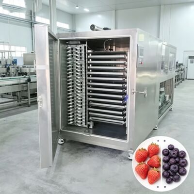 Liofilizzatore Industriale con Dimensioni Camera 12700 2600 3300mm, Incluso Sistema di Controllo PLC e Tempo di Essiccazione da 20 a 24 ore, Progettato per l'Operatività