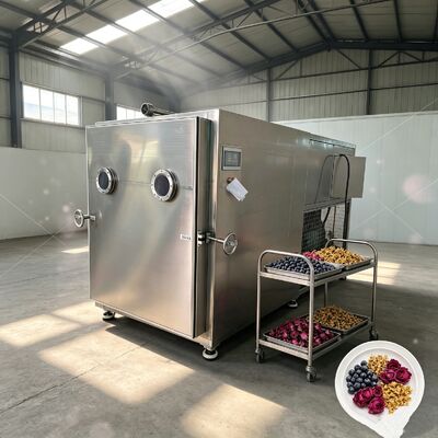Dimensioni complessive 3800 1700 2000 Mm Liofilizzatore per verdure con sistema di raffreddamento ad aria progettato per migliorare l'efficienza di essiccazione delle verdure